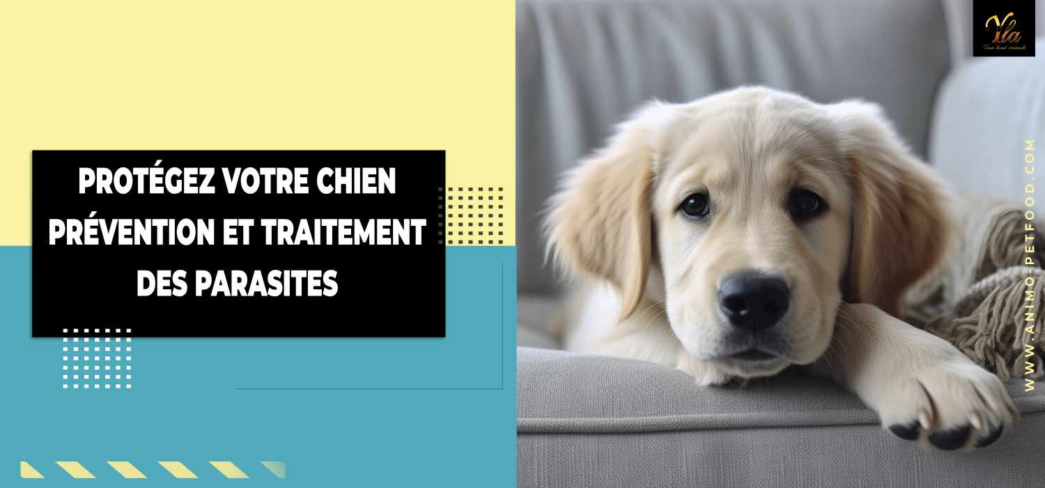 chien_protection_parasites